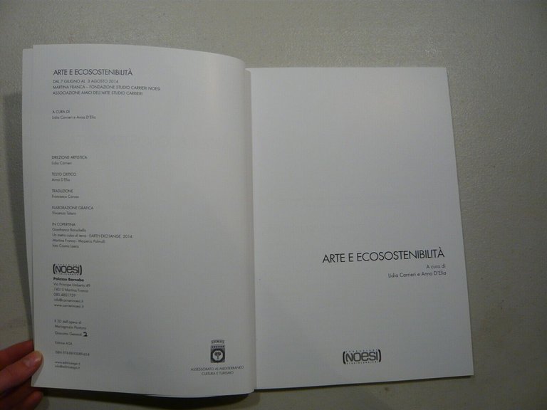 Carrieri,D’Elia,ARTE E ECOSOSTENIBILITA’, 2014[sviluppo sostenibile