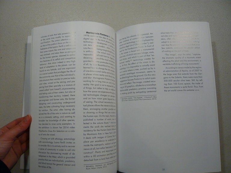 Carrieri,D’Elia,ARTE E ECOSOSTENIBILITA’, 2014[sviluppo sostenibile