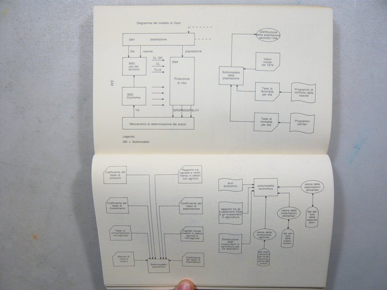 Cecchini,Indovina,SIMULAZIONE,Franco Angeli 1989[complessità mondo contemporaneo