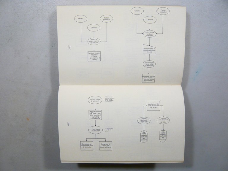 Cecchini,Indovina,SIMULAZIONE,Franco Angeli 1989[complessità mondo contemporaneo