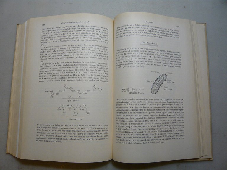 Champetier-Monnerie,INTRODUCTION A LA CHIMIE MACROMOLECULAIRE,Parigi,1969