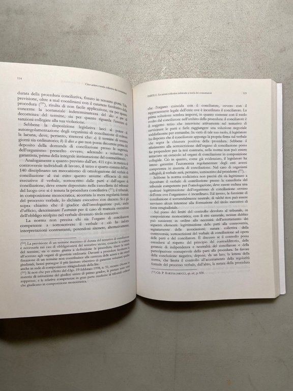 Chinè,Miccolis CLASS ACTION E TUTELA COLLETTIVA DEI CONSUMATORI,2008 | Immagine Gallery 3