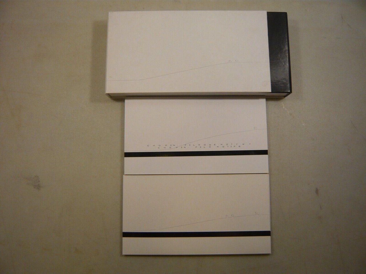 CHOPIN. FILMOWE MOTYWY, FILM MOTIFS,Filmoteka Narodowa 2010[Adam Wyżyński