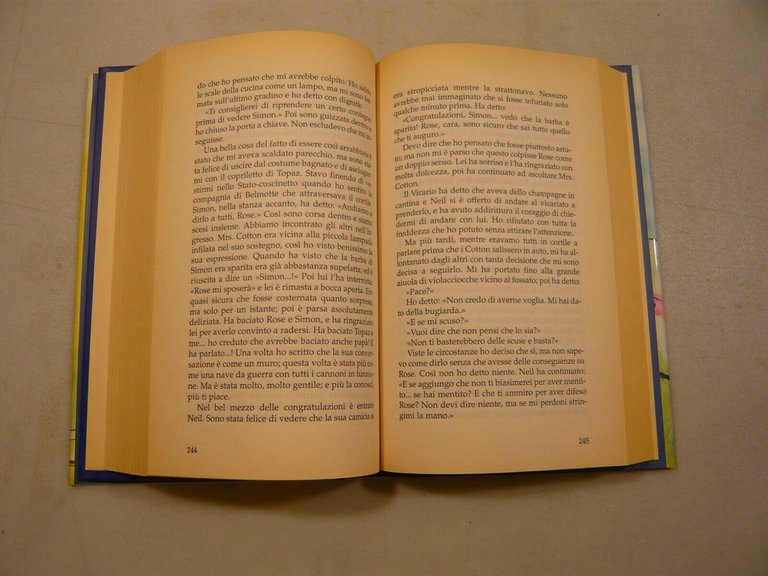 Codie Smith,HO UN CASTELLO NEL CUORE,Fabbri 2004