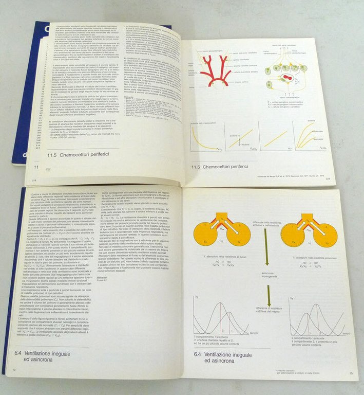 CONTOURS OF BREATHING.4 voll,1985 De Angeli[medicina,respirazione,polmoni