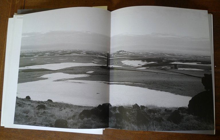 Corà,ESSENZIALE ALL'ARTE.CALZOLARI FABRO PARMIGGIANI,2006 de'Foscherari/Gli Ori