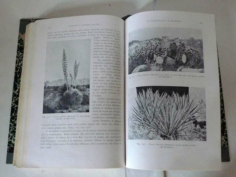 CORSO DI SCIENZE NATURALI.ANATOMIA E FISIOLOGIA UMANA,ANIMALE,VEGETALE,1937