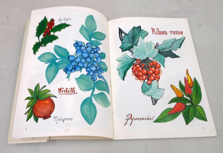 Cortese,MODELLI PER DIPINGERE PIATTI ORNAMENTALI,1987 Castello[modelli