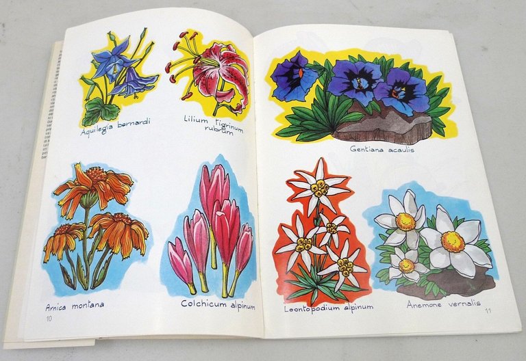 Cortese,MODELLI PER DIPINGERE PIATTI ORNAMENTALI,1987 Castello[modelli