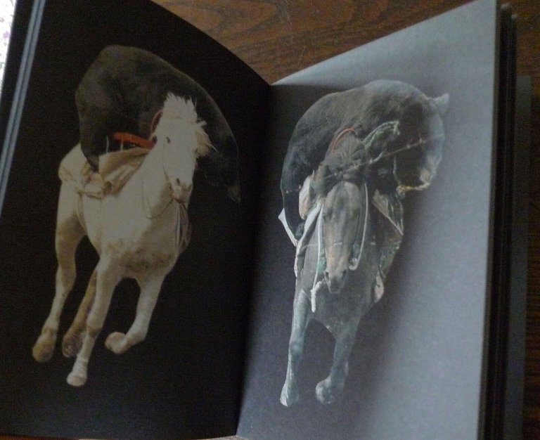 CUJO MAGAZINE,FIRST ISSUE,2007 Ed.Zero.NICO VASCELLARI'S TAXONOMY[arte cont.