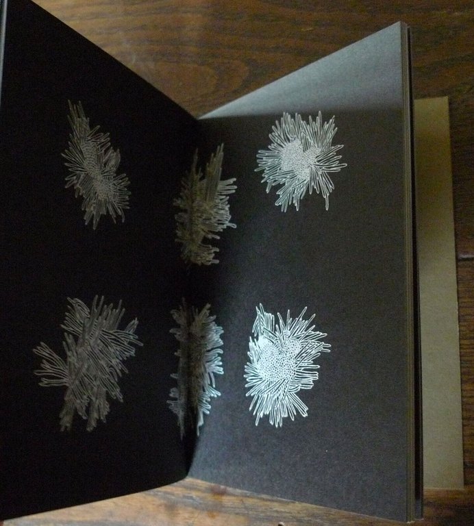 CUJO MAGAZINE,FIRST ISSUE,2007 Ed.Zero.NICO VASCELLARI'S TAXONOMY[arte cont.