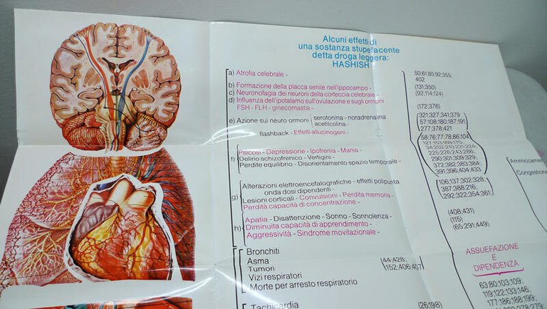 Cutrufello,HASHISH TESTA D'ARIETE DELL'EROINA,1980[droghe,cannabis