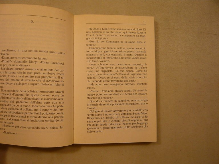 Cynthia Voigt, VOGLIO TORNARE A CASA, Bompiani, Ariccia, 1994