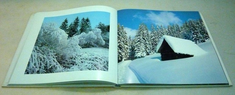 D’Affara,IL CADORE E IL SUO AMBIENTE NATURALE,1990 Dolomiti[fotografia,montagna