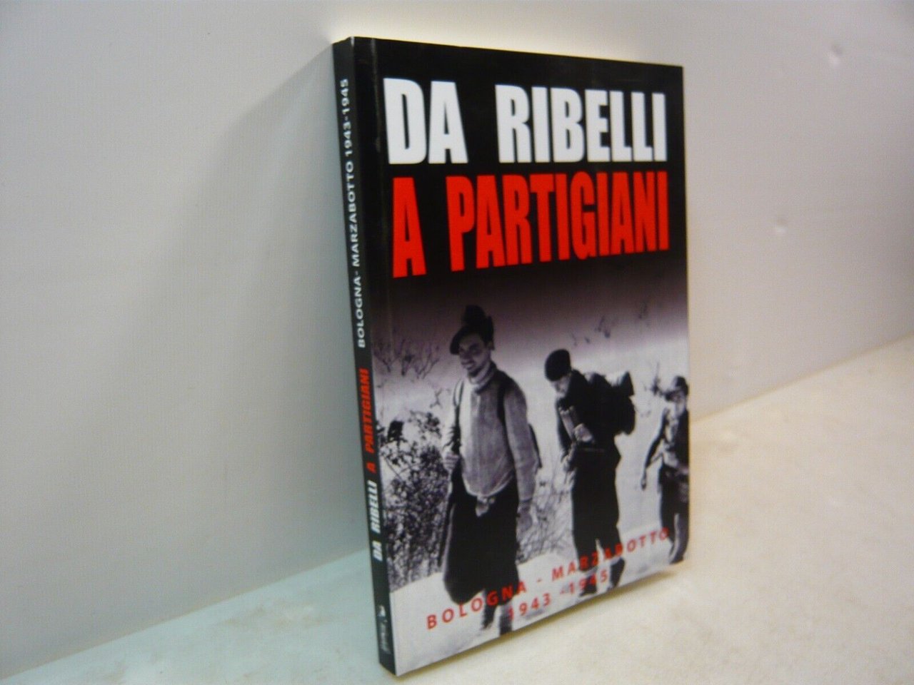 DA RIBELLI A PARTIGIANI.Bologna-Marzabotto 1943-1945,Garbo 2015