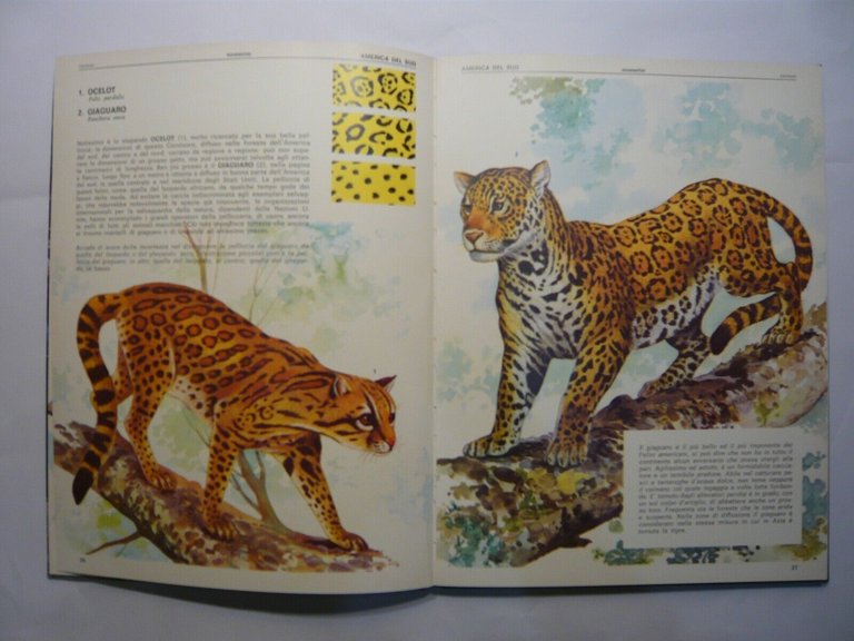 DALLE ANDE ALL’AMAZZONIA - GLI ANIMALI,Malipiero[etologia,geografia