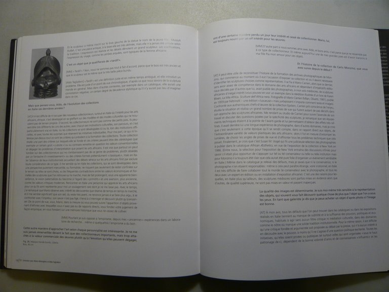 Dandrieu,PASSION D’AFRIQUE.L’art africain dans les collection italiennes,2009