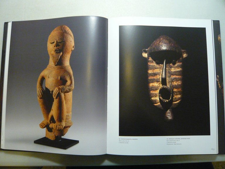 Dandrieu,PASSION D’AFRIQUE.L’art africain dans les collection italiennes,2009