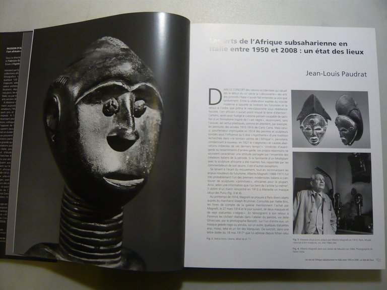 Dandrieu,PASSION D’AFRIQUE.L’art africain dans les collection italiennes,2009