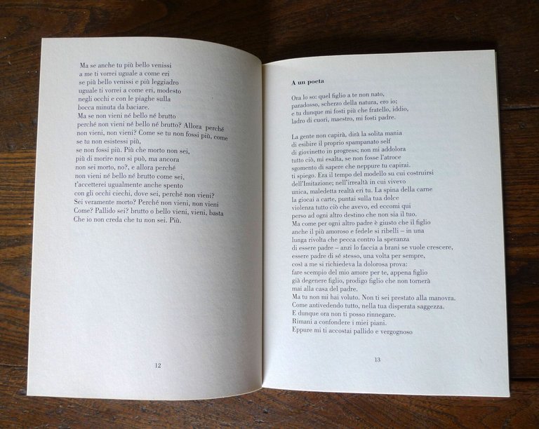 Dario Bellezza,LA VITA IDIOTA,2015 LietoColle[POESIA,cura Fabrizio Cavallaro | Immagine Gallery 5