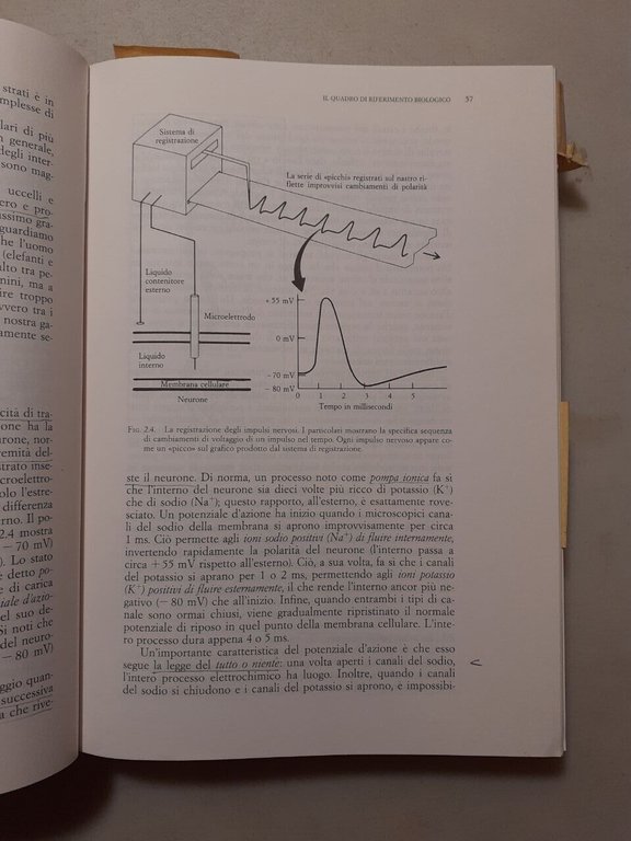 Darley,Glucksberg,Kinchla,PSICOLOGIA I e II, il Mulino 1993