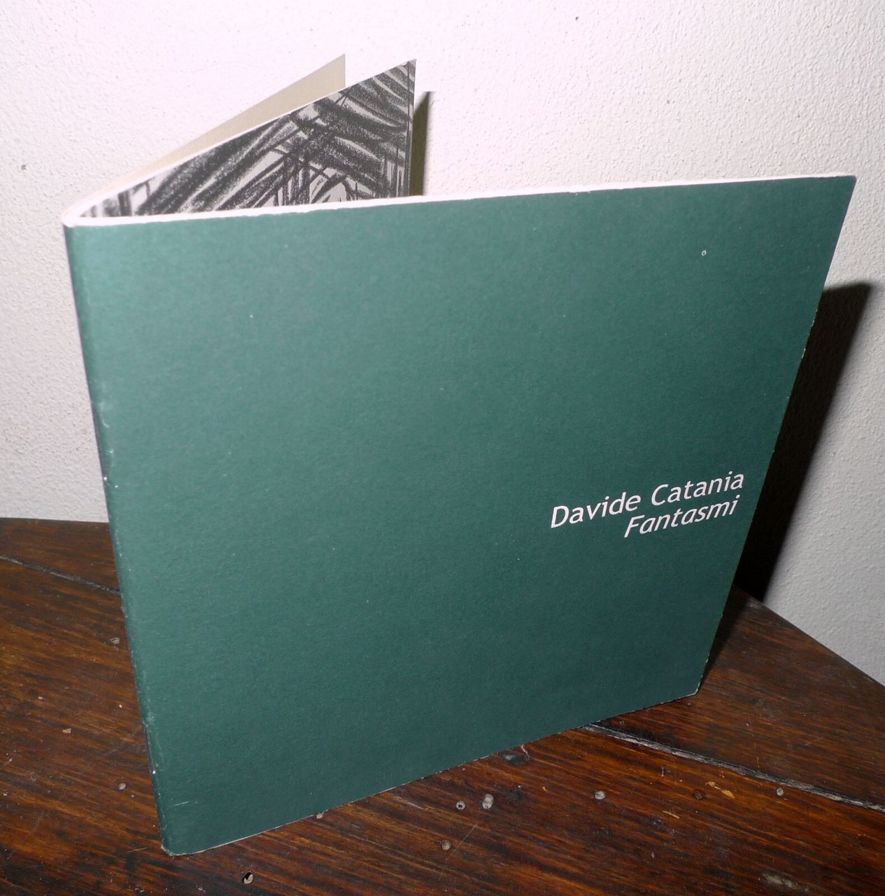 Davide Catania,FANTASMI,2008 Galleria RAM HOTEL,Bologna[illustrazione,fumetti