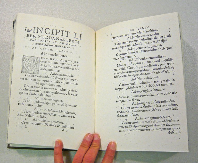 DE ANIMALIBUS MEDICAE QUAESTIONES/MEDICINA ANIMALIUM BESTIARUM,1541[anastatica