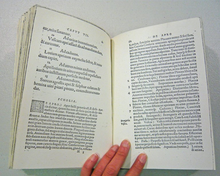 DE ANIMALIBUS MEDICAE QUAESTIONES/MEDICINA ANIMALIUM BESTIARUM,1541[anastatica
