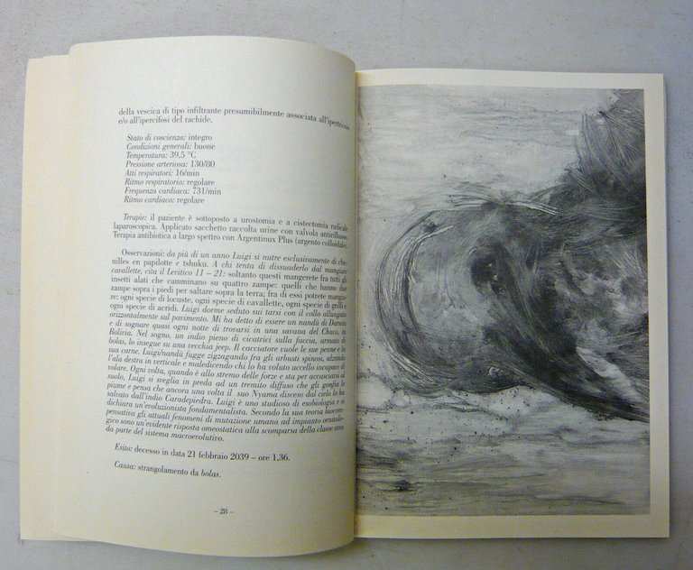 Denis Brandani/Ettore Frani,DODICI CASI PIÙ UNO,AltroVerso[arte contemporanea