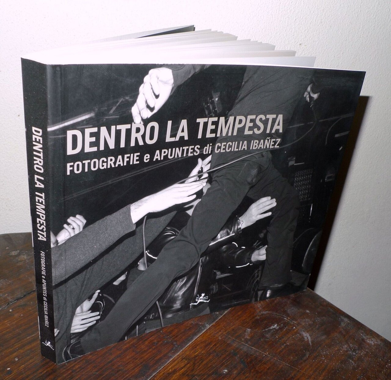 DENTRO LA TEMPESTA.FOTOGRAFIE E APUNTES DI CECILIA IBAÑEZ,2011[rock,Pordenone