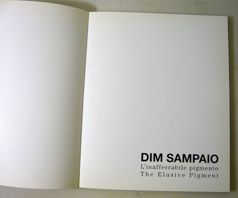 Dim Sampaio,L’INAFFERRABILE PIGMENTO/THE ELUSIVE PIGMENT[arte brasiliana,Bologna