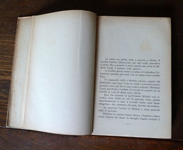 Dusolina Cimadomo Lanfranconi,IL RAMAIO.Romanzo,1955 Gastaldi editore[ROMANTICA
