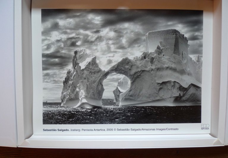 ECOSHPERA PORTFOLIO,UTET 2010[AMBIENTE,FOTOGRAFIA,Sebastião Salgado,Zambardino