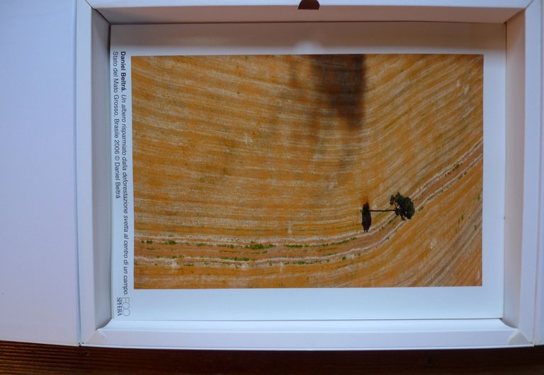 ECOSHPERA PORTFOLIO,UTET 2010[AMBIENTE,FOTOGRAFIA,Sebastião Salgado,Zambardino