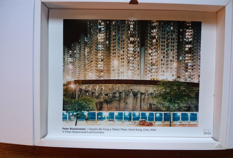 ECOSHPERA PORTFOLIO,UTET 2010[AMBIENTE,FOTOGRAFIA,Sebastião Salgado,Zambardino