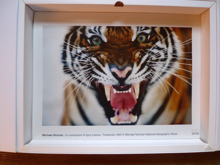 ECOSHPERA PORTFOLIO,UTET 2010[AMBIENTE,FOTOGRAFIA,Sebastião Salgado,Zambardino