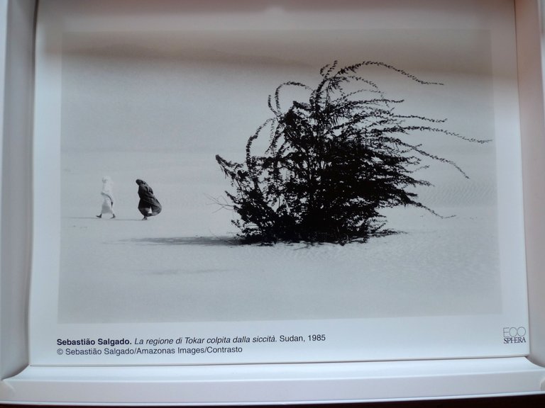 ECOSHPERA PORTFOLIO,UTET 2010[AMBIENTE,FOTOGRAFIA,Sebastião Salgado,Zambardino