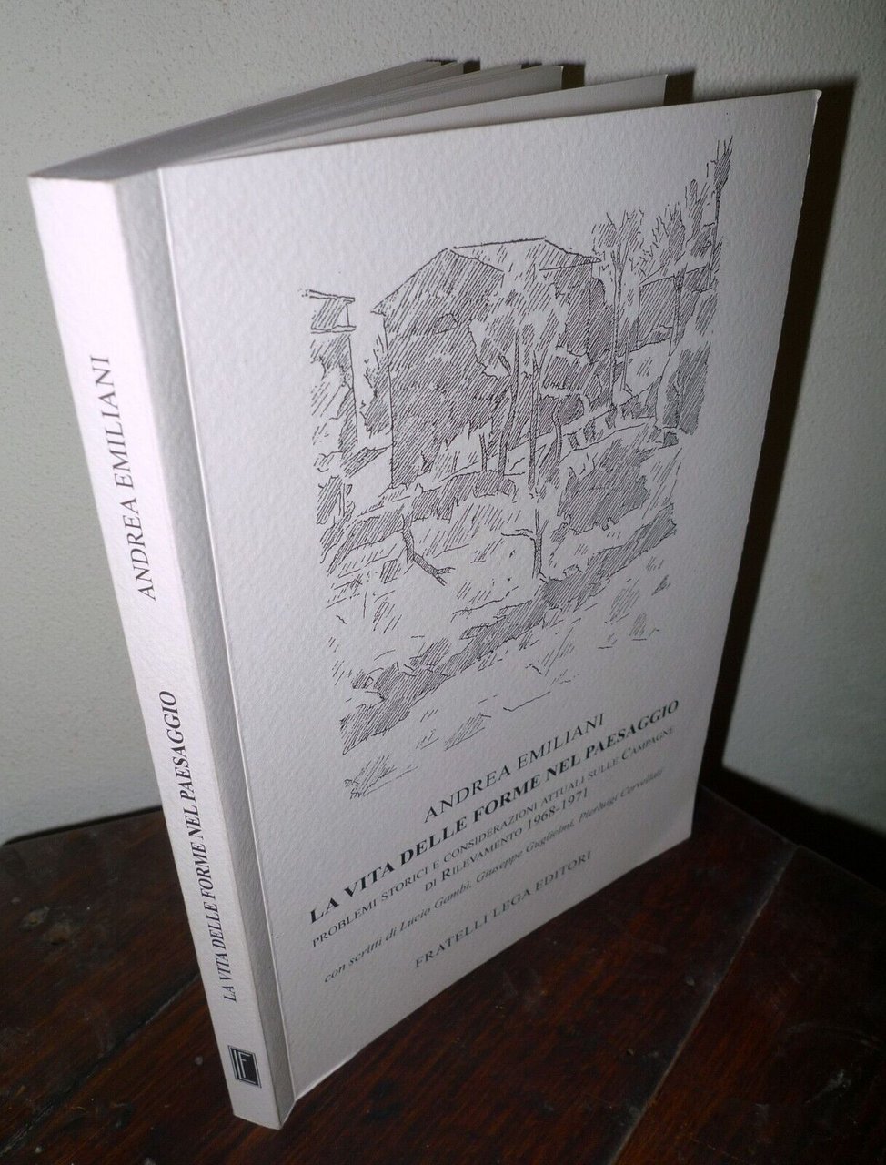 Emiliani,LA VITA DELLE FORME NEL PAESAGGIO,2017 Lega[beni culturali,Emilia R.