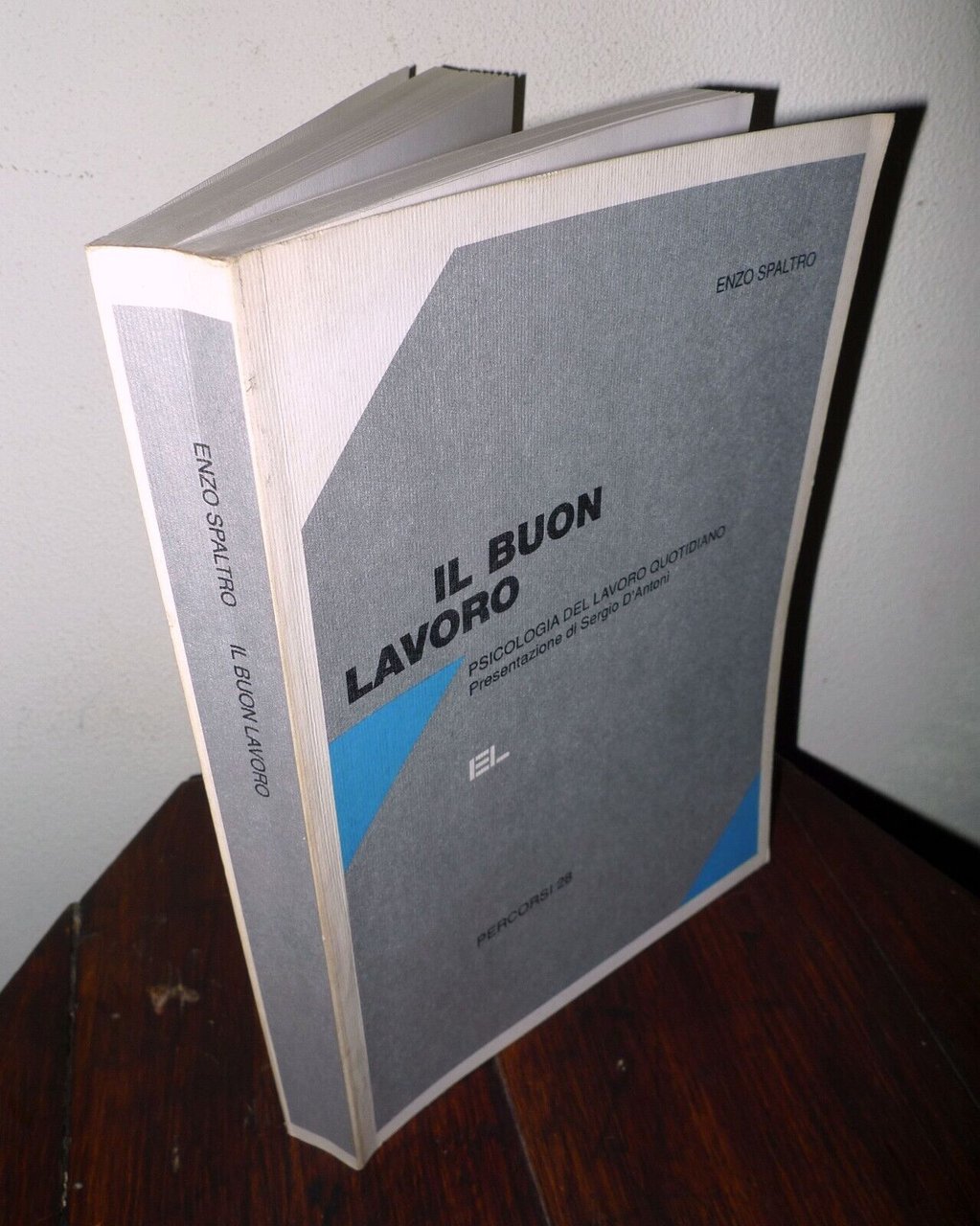 Enzo Spaltro,IL BUON LAVORO.PSICOLOGIA DEL LAVORO QUOTIDIANO,1996 EL[politica