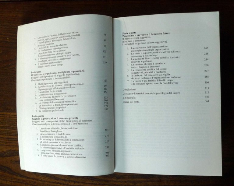 Enzo Spaltro,IL BUON LAVORO.PSICOLOGIA DEL LAVORO QUOTIDIANO,1996 EL[politica