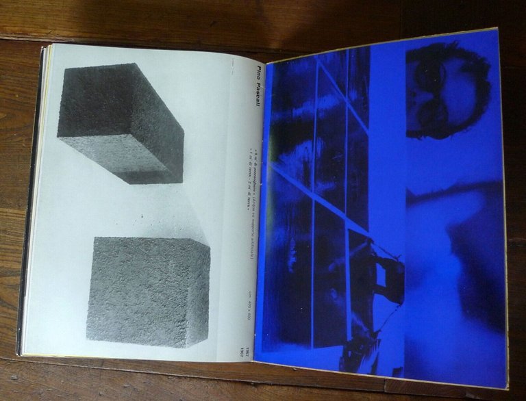 Fabio Sargentini,Galleria L’ATTICO 66 67,Roma 1967[ARTE CONTEMPORANEA