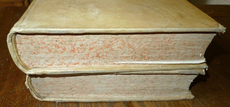 Fabricius,JO.ALBERTI FABRICII BIBLIOTHECA LATINA,1728 Venezia[CLASSICI LATINI