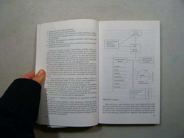 Favretto,Rappagliosi,DIRIGENZA SCOLASTICA Stress, problemi...,Armando 1997