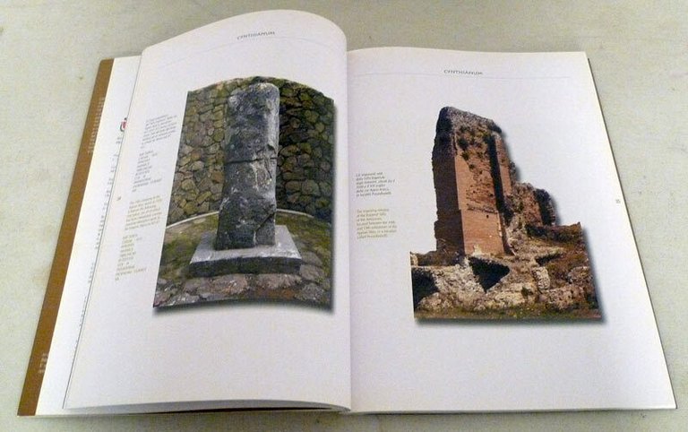 Feliciani,GENZANO E L'INFIORATA,2008[storia locale,arte,fiori,religione,Roma