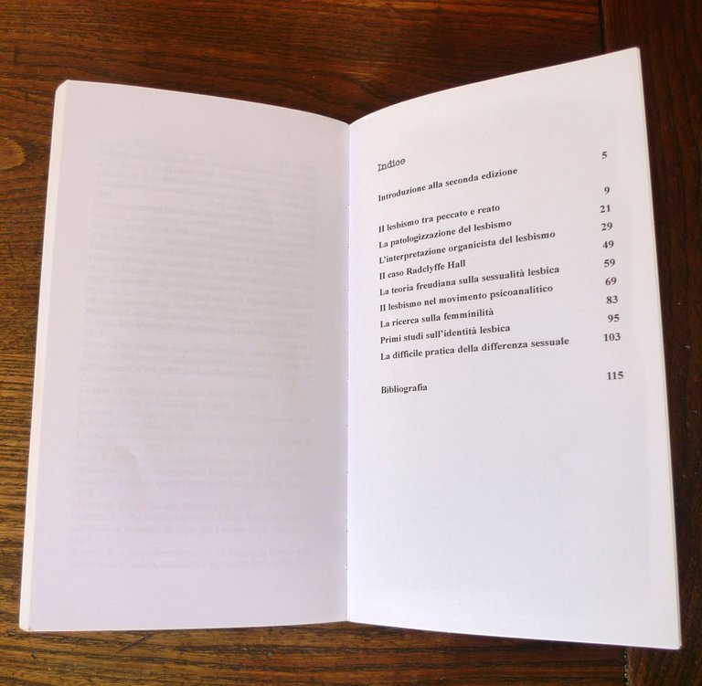 Fiocchetto,L'AMANTE CELESTE.LA DISTRUZIONE SCIENTIFICA DELLA LESBICA,2003