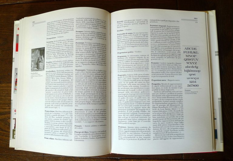 Fioravanti,IL DIZIONARIO DEL GRAFICO,1993 Zanichelli[grafica,editoria,stampa
