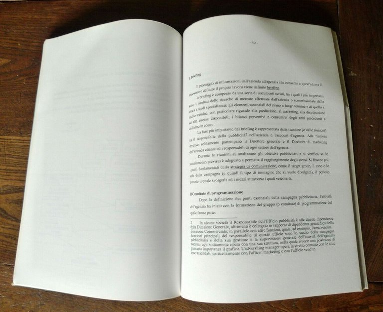 Fortunati Marzaroli,ANALISI DI EFFICIENZA DEL SERVIZIO DI PUBBLICITÀ[ECONOMIA