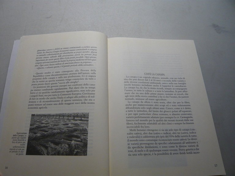 Franco Casalone,CANAPA Non siamo criminali!,Shambu 2008