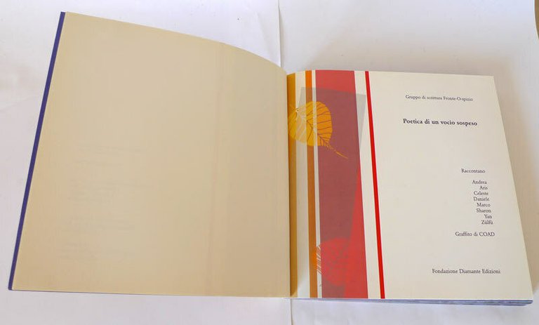 Fronte-O-spizio,POETICA DI UN VOCIO SOSPESO,'08[disabilità,scrittura,psichiatria