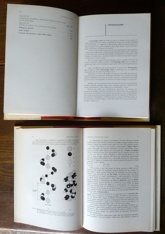 Galzigna/Burlina,ENZIMOLOGIA CLINICA.PRINCIPI GENERALI.APPLICAZIONI,1975 Piccin